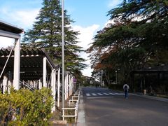 -东北大学(南湖校区)