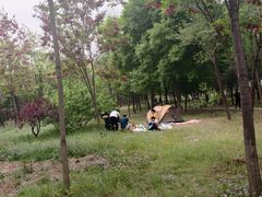 -绿堤公园