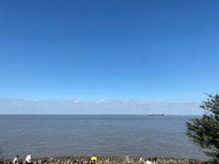 -上海滨江森林公园