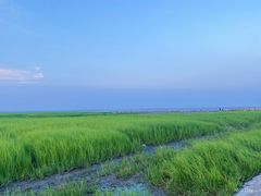 -南汇嘴观海公园