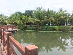 -沙美村