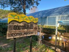 -Torch Coffee 炬点咖啡