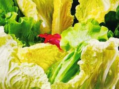 蔬菜拼盘-牛记皇鲜牛肉火锅(环球度假区梨园店)
