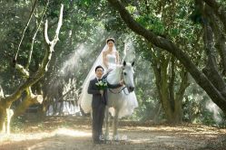 点击看大图 -花漾摄影优选工作室(东莞原创作品店)