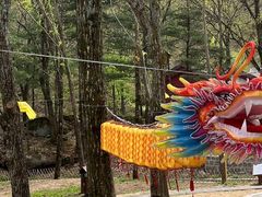 -洛阳白云山景区