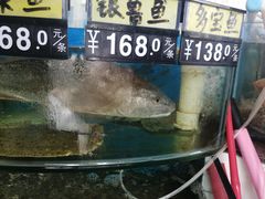 -烁佳海鲜大馅饺子