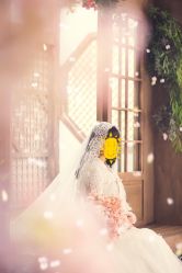 -艺匠摄影ARTIZ STUDIO(南京店)