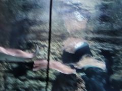 -南昌海洋公园