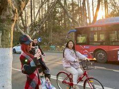 -也枫·小黄楼(南山路旗舰店)