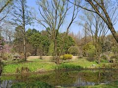 -杭州植物园