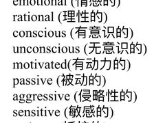 -I-Shine英语国际教育(御桥张江中心)