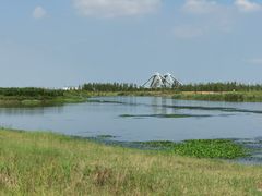 -春花秋色城市公园