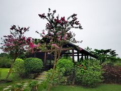 -芒洲湿地公园