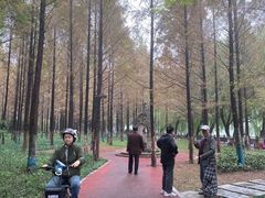 -沙市市中山公园