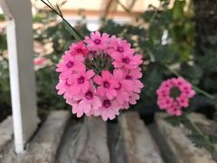 -阿尔罕布拉宫