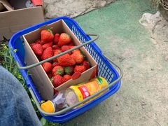 -小鱼草莓采摘园农家乐·小鱼餐厅