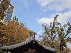 -山东省千佛山医院