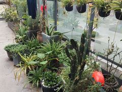 -无届青年餐馆(熙街店)