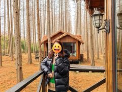 -黄海国家森林公园