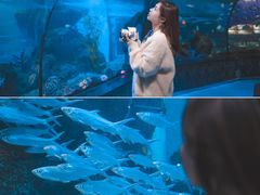 -大明湖海底世界