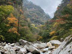 -青峰峡国家森林公园