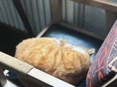 -CHURCH  BISTRO 教堂·餐吧