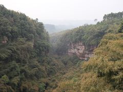 -川西竹海景区