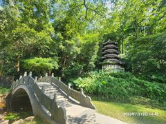 -深圳国际园林花卉博览园