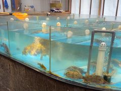 -耕渔小院·湖南鱼鲜(望城店)