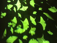 -马路边边串串香(双井直营店)