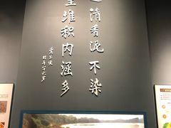 -柳州白莲洞洞穴科学博物馆