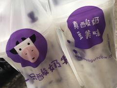 -一只酸奶牛(八一路店)