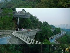 -福道