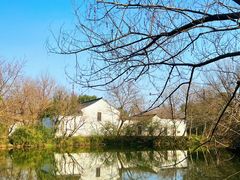 -西溪国家湿地公园