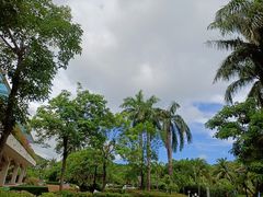 -三亚亚龙湾金棕榈度假酒店