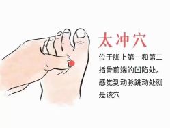 -香薇妮丝女子减肥院