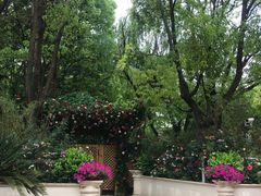 -上海市民办金苹果学校