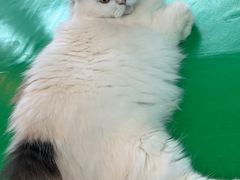 -茂业百货(东门店)