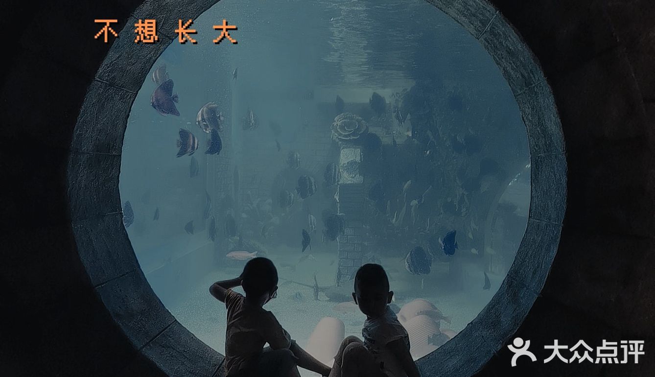 遛娃｜非常值得去绝对不踩雷