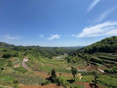 -乌石村