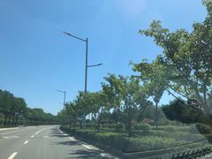 -洨河生态公园