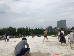 -大宁郁金香公园-停车场