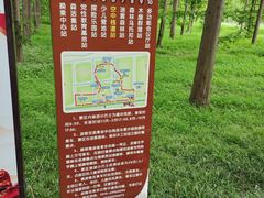 -黄海国家森林公园