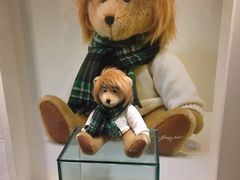 -济州岛泰迪熊博物馆