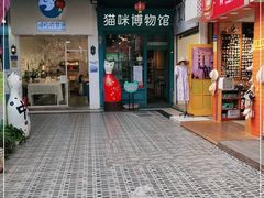 -猫咪博物馆(顶澳仔猫街店)
