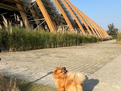 -中国天府农业博览园