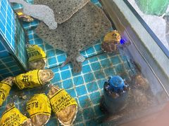 -大哈福烧烤·海鲜·家常菜(延安三路店)