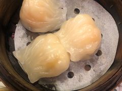 -七爺清汤腩(南开大悦城店)