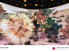 -德基艺术博物馆