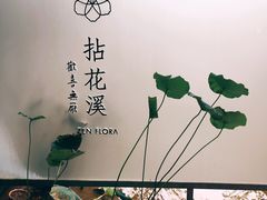 -乐领拈花溪·林涧食韵